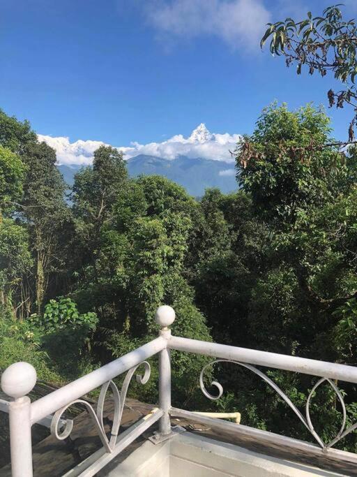 Ghost Villa Pokhara With Mountain View 20Mins From Main Area Ranipauwa Exterior photo